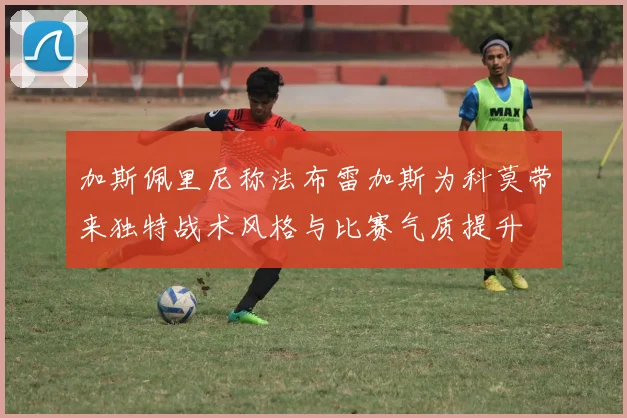 加斯佩里尼称法布雷加斯为科莫带来独特战术风格与比赛气质提升