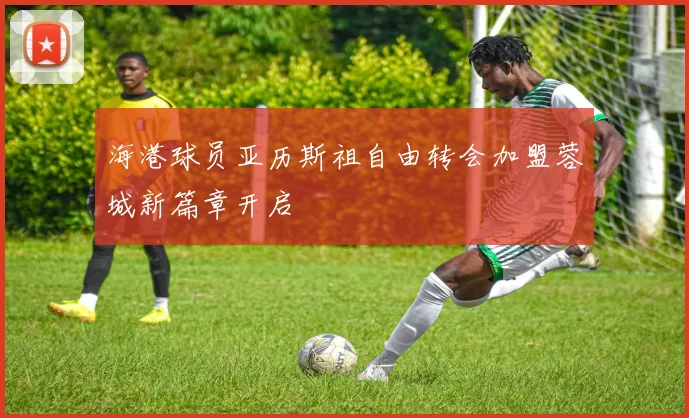 海港球员亚历斯祖自由转会加盟蓉城新篇章开启