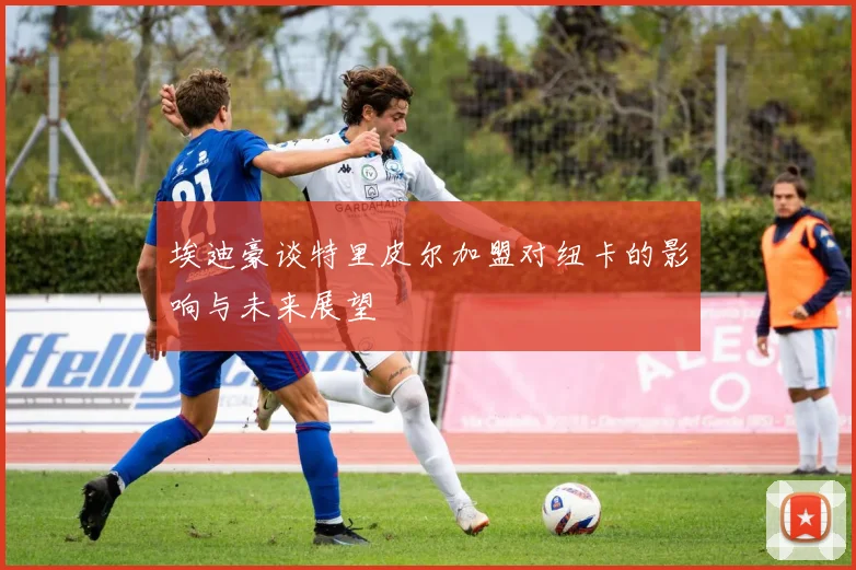 埃迪豪谈特里皮尔加盟对纽卡的影响与未来展望