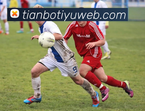 天博体育APP 体育赛事宣传图